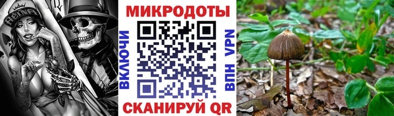 даркнет телеграм  Кондрово  Галлюциногенные грибы Cubensis 